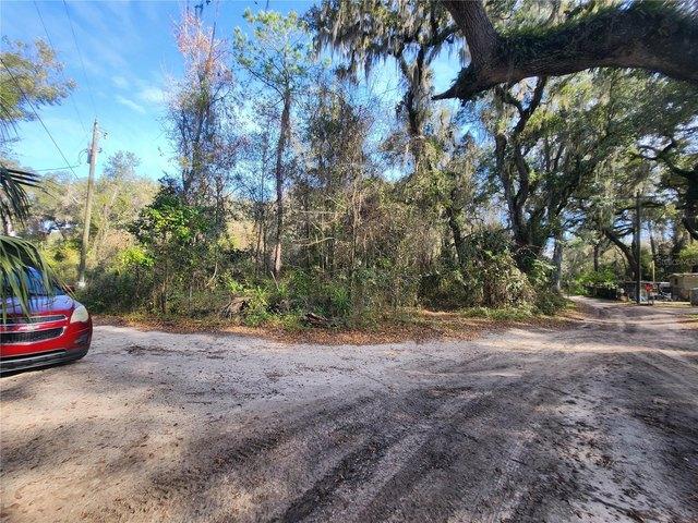 Land for sale in Anthony, Florida