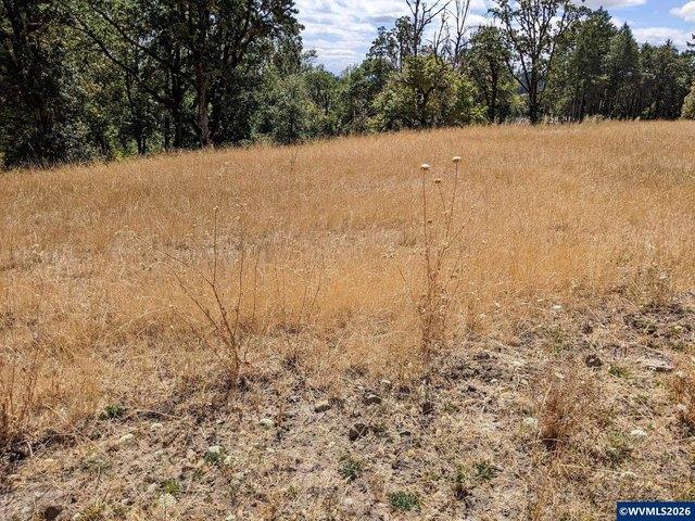Land for sale in Corvallis, Benton County
