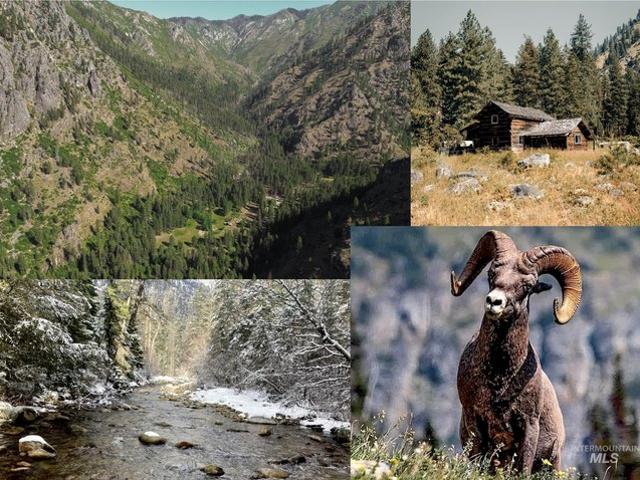 Farm for sale in Riggins, Idaho