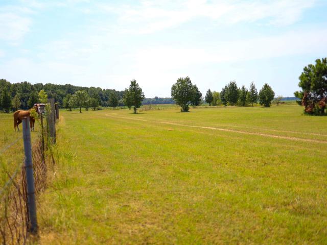 Land for sale in Ark