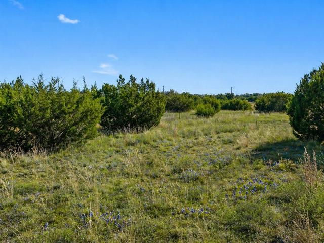 Farm for sale in Blanco, Texas