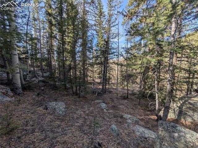 Land for sale in Lake George, Colorado