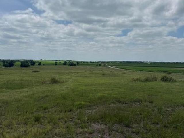 Land for sale in Lott, Texas