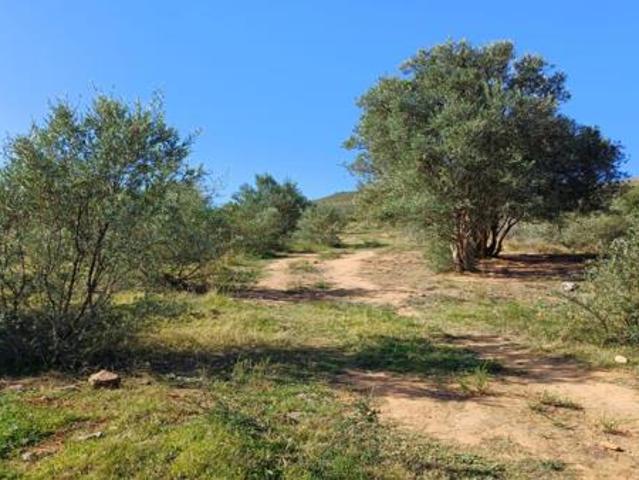 Farm for sale in Groot Brak Rivier, Western Cape
