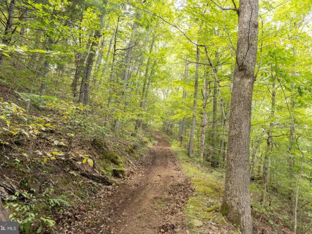 House for sale in West Virginia