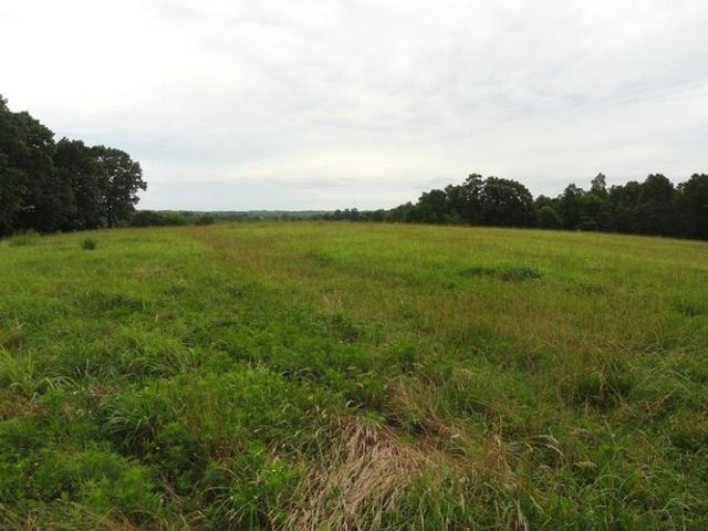 Farm for sale in Ark