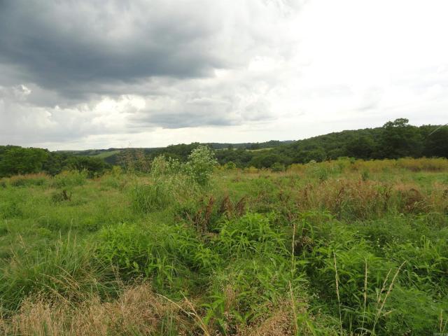 Land for sale in Ark