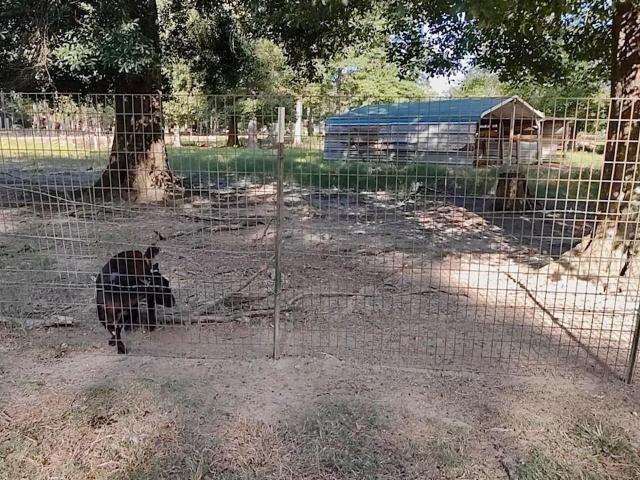 Property for sale in Walker, Louisiana