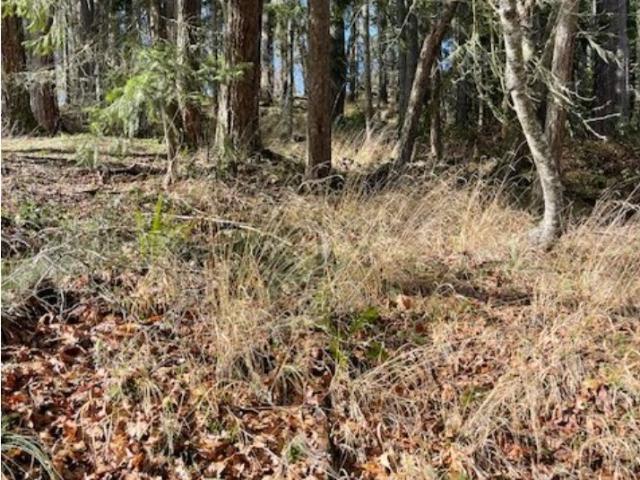 Land for sale in Oregonia