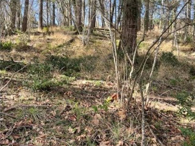 Land for sale in Oregonia