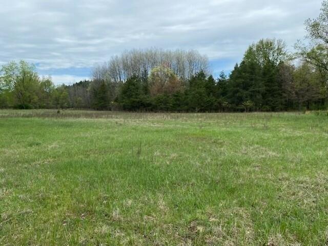 Land for sale in White Cloud, Michigan