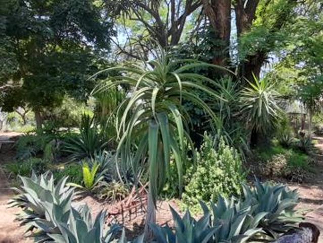 Farm for sale in Naboomspruit, Limpopo