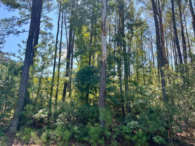 Land for sale in Yemassee, South Carolina