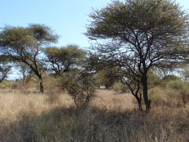 Land for sale in Limpopo