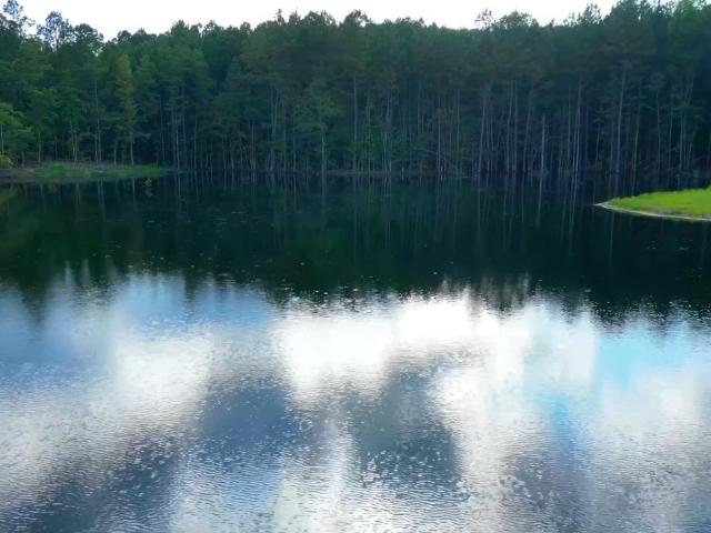 Land for sale in Vandiver, Alabama
