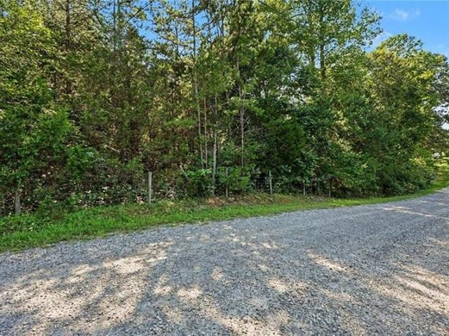 Land for sale in Franklinville, North Carolina