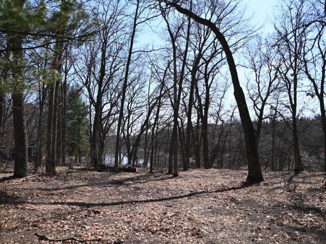 Land for sale in Todd, Minnesota