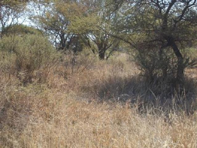 Land for sale in Limpopo