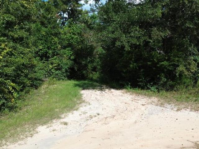 Land for sale in Wewahitchka, Gulf County