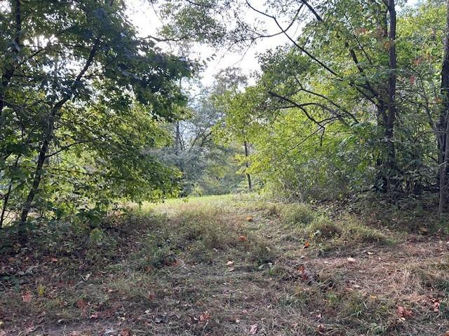 Land for sale in Tennessee
