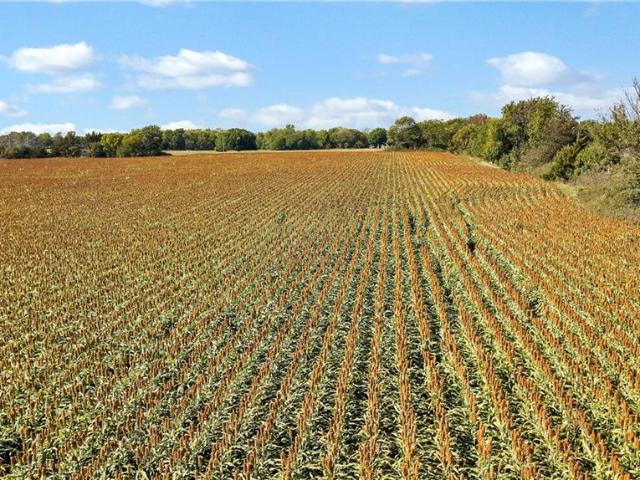 Land for sale in Kansas