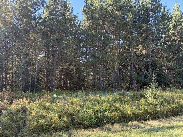Land for sale in Pickford, Pickford Township