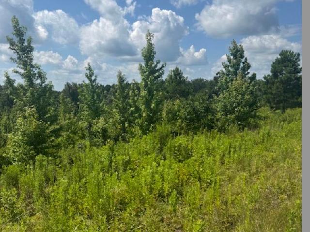Land for sale in Benton Land for sale in Benton