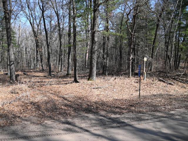 Land for sale in Todd, Minnesota