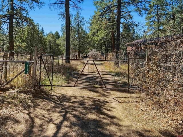 House for sale in Montezuma, Colorado