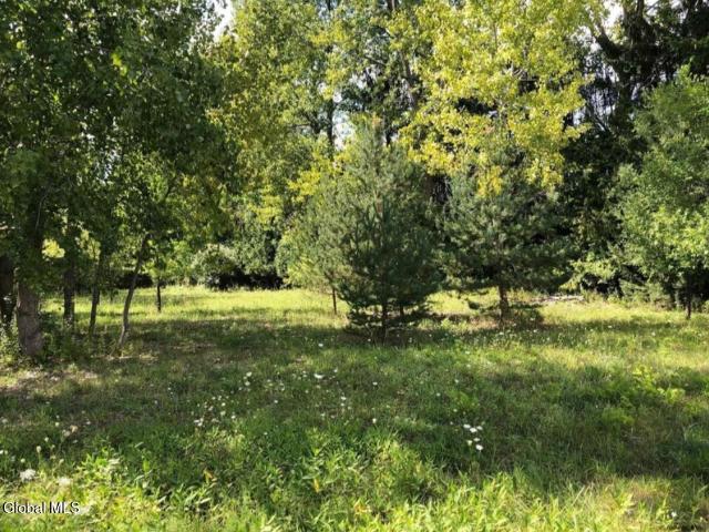 Land for sale in Cleverdale, New York