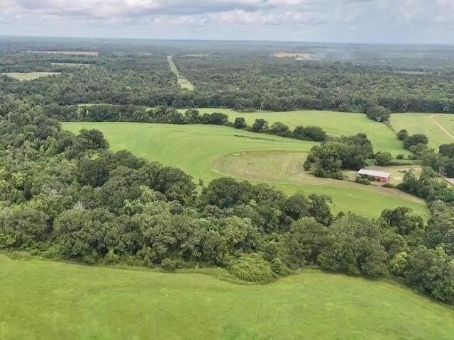 Farm for sale in Brundidge, Alabama