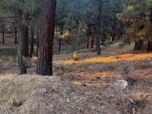 Land for sale in Portola, California