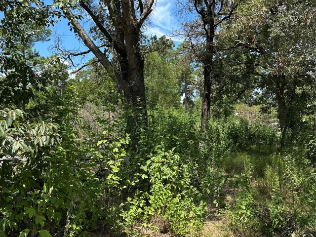 Land for sale in Polk, Texas