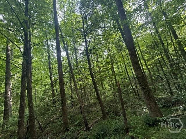 Land for sale in Clayton, Georgia
