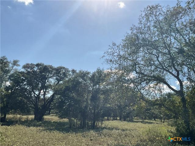 Farm for sale in Cuero, DeWitt County