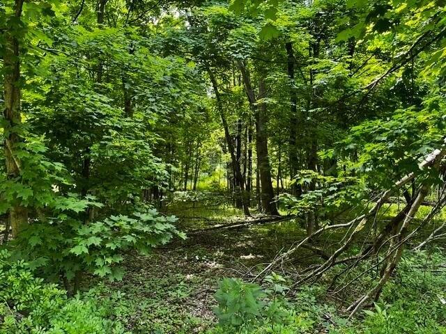 Land for sale in Howard, Ohio