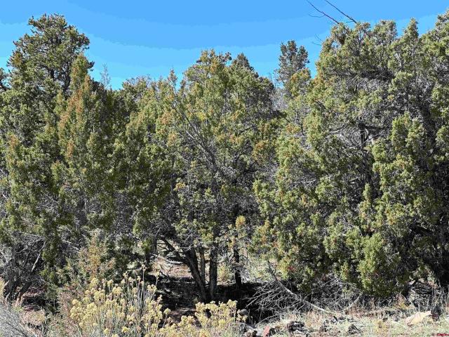 Land for sale in Montrose, Colorado