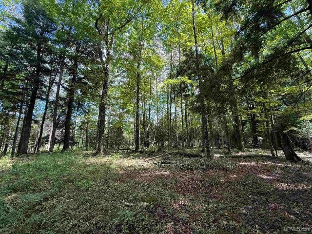 Land for sale in Gulliver, Doyle Township