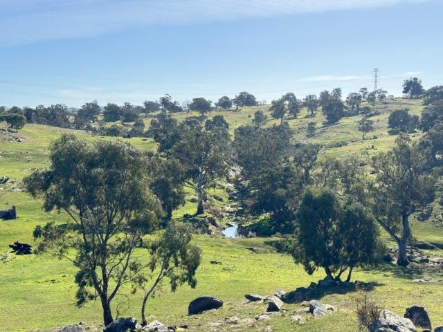Land for sale in Tungkillo, South Australia