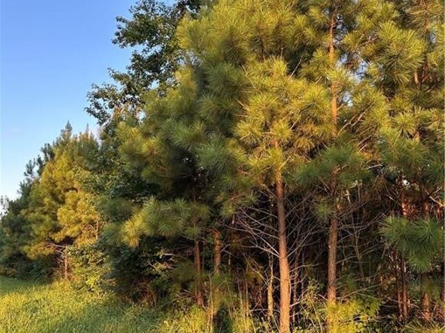 Land for sale in Saluda, Middlesex County