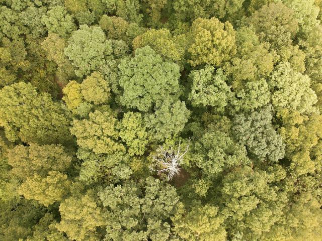 Land for sale in Murray, Calloway County