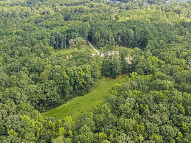 Land for sale in Georgia