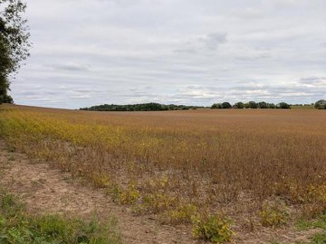 Land for sale in Lake Mills, Jefferson County