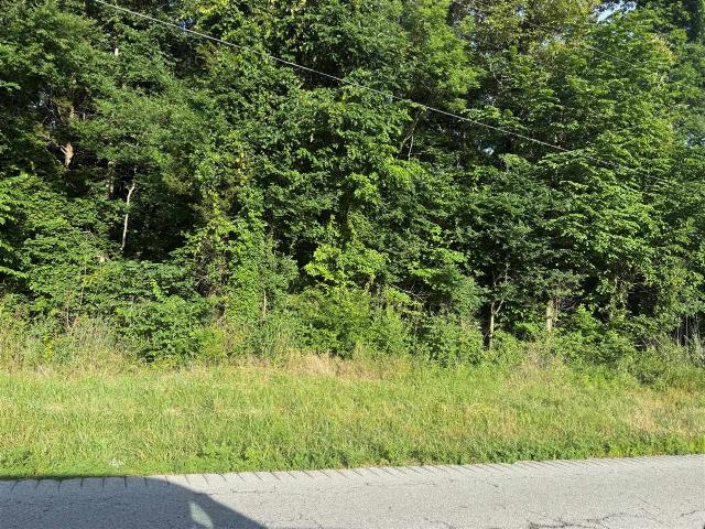 Land for sale in Bowling Green, Kentucky