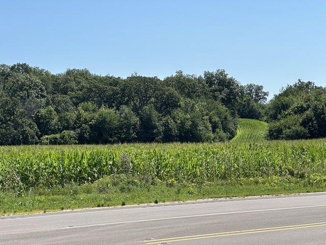Land for sale in Mchenry, Illinois