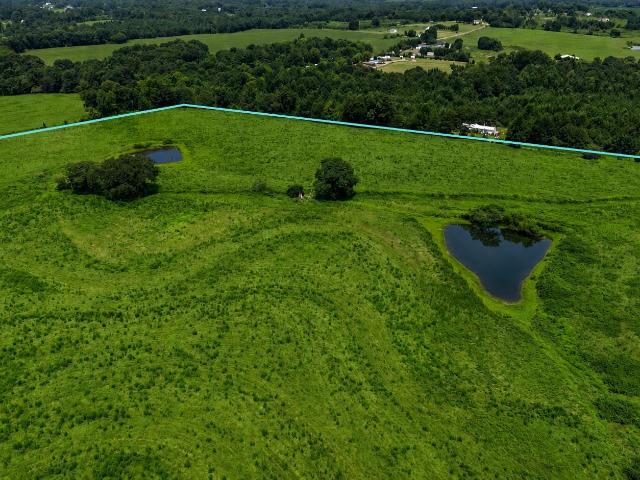 Land for sale in Blount, Alabama
