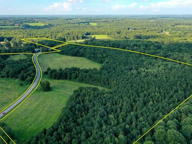 Land for sale in Louisburg, North Carolina