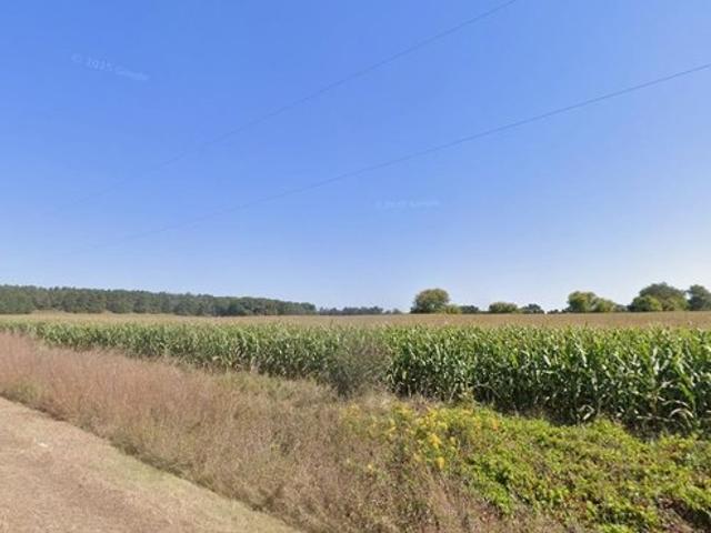 Land for sale in Rio, Columbia County