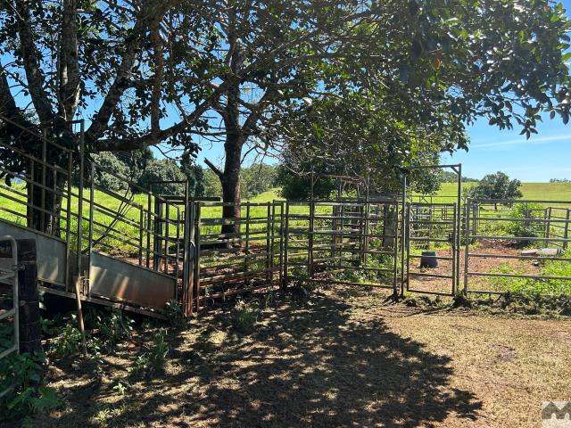 Property for sale in Mena Creek, Queensland