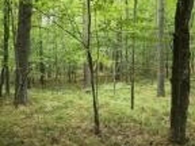 Land for sale in Essex, New York